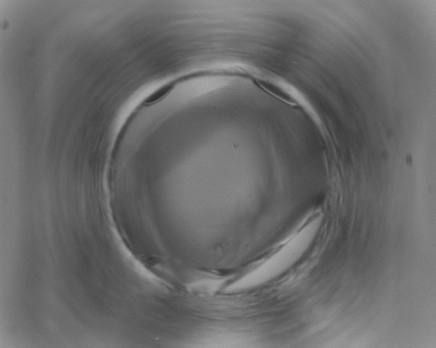 X0000061750959200512231522