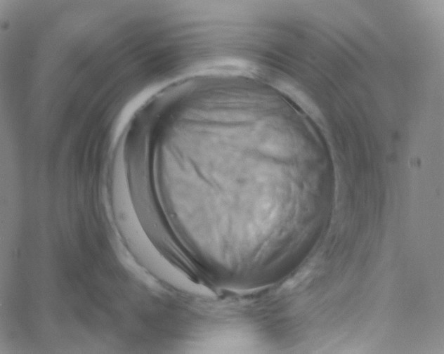 X0000061750960200512231522