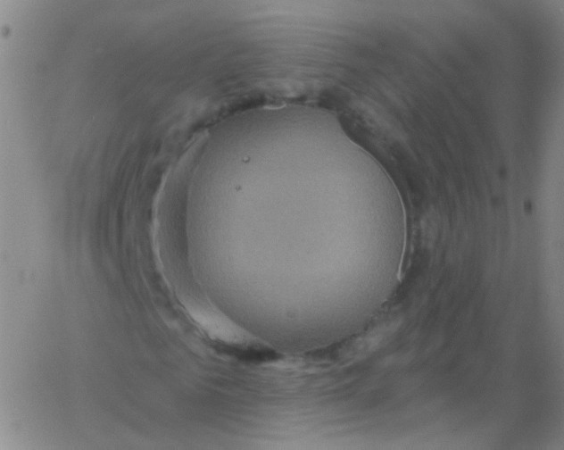 X0000061750961200512231521