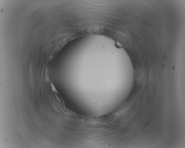 X0000061750962200512231521