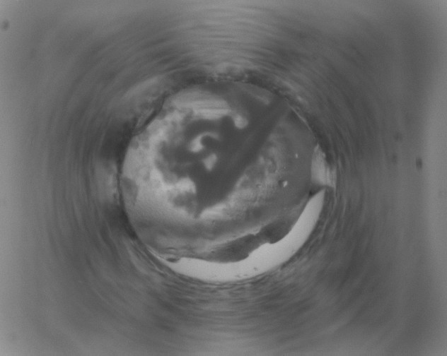 X0000061750963200512231521