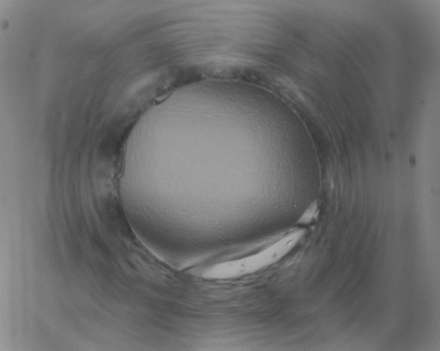 X0000061750964200512231521