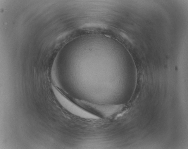 X0000061750965200512231521