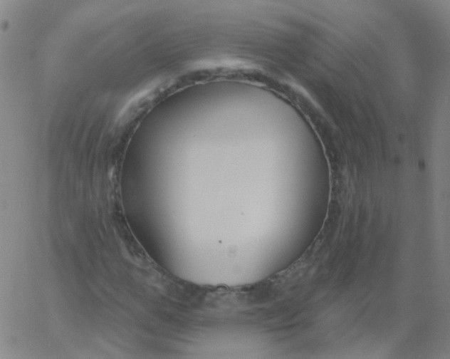 X0000061750967200512231521