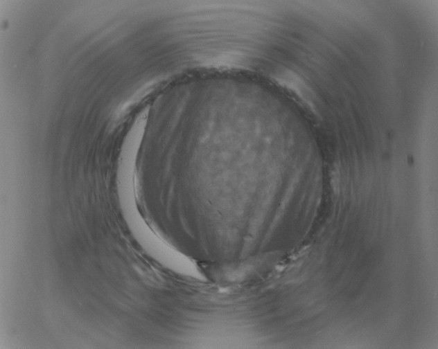 X0000061750968200512231521