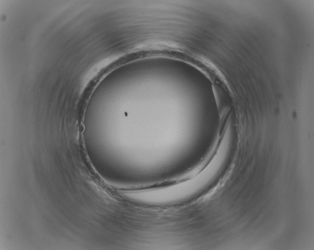 X0000061750973200512231521