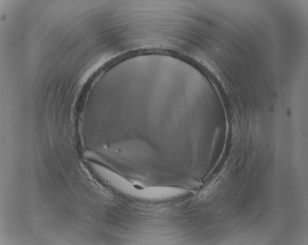 X0000061750975200512231521