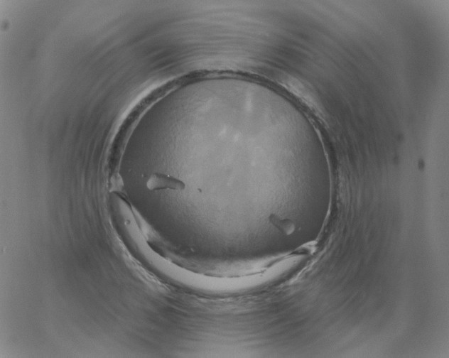 X0000061750976200512231521