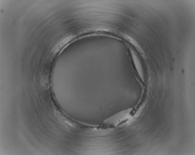 X0000061750977200512231521