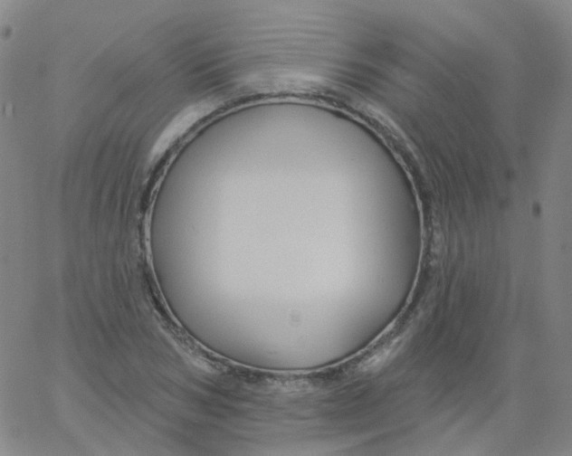 X0000061750978200512231521