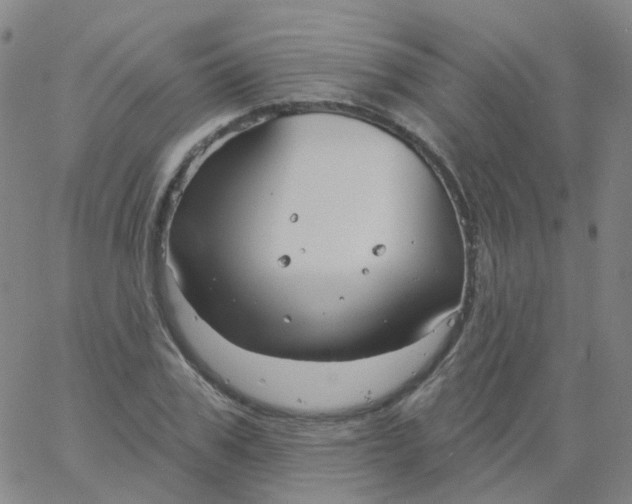 X0000061750979200512231521