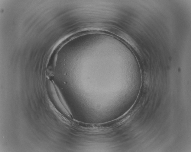 X0000061750980200512231521