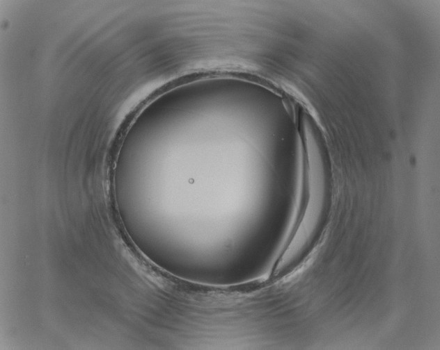 X0000061750981200512231521