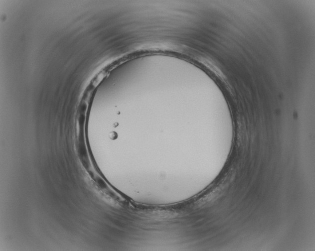 X0000061750984200512231521