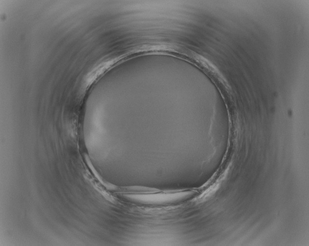 X0000061750985200512231521