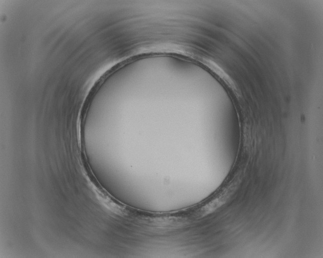 X0000061750988200512231521