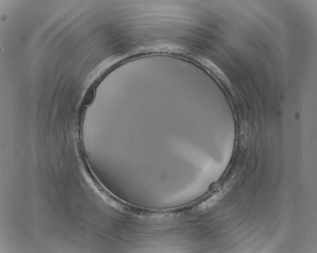 X0000061750989200512231521