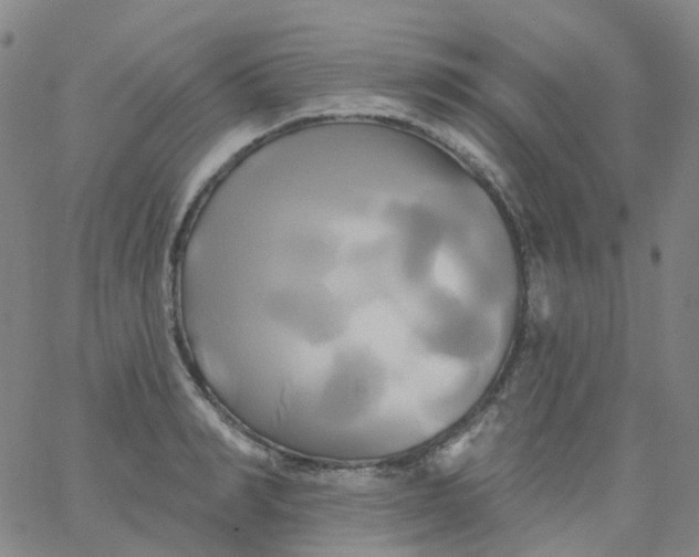 X0000061750990200512231521