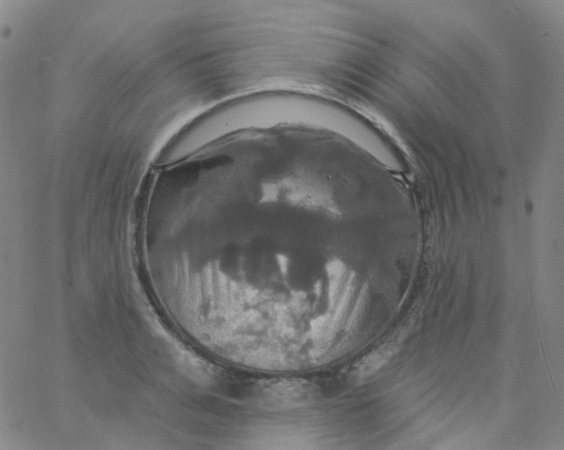 X0000061750991200512231521