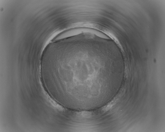 X0000061750992200512231521