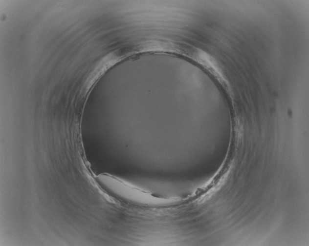 X0000061750993200512231521