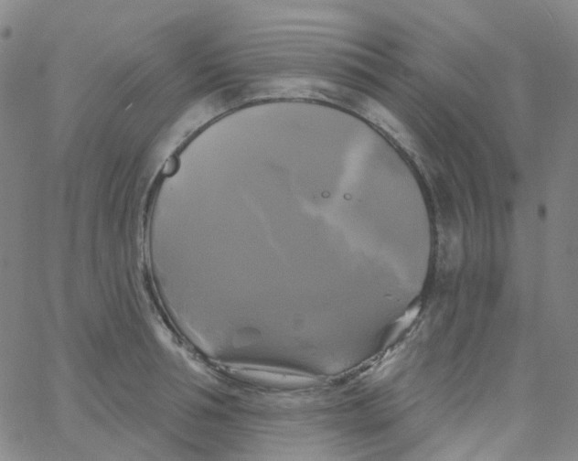 X0000061750994200512231521