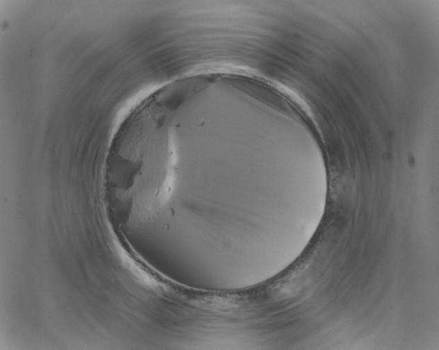 X0000061750995200512231521