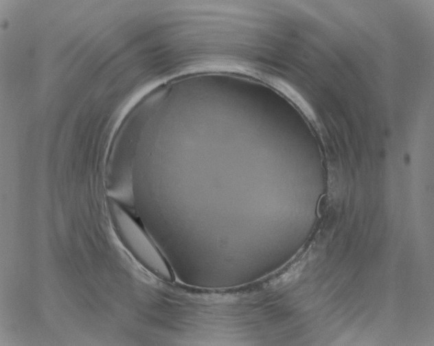 X0000061750996200512231521