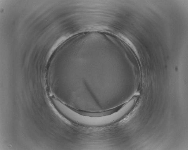 X0000061750997200512231521