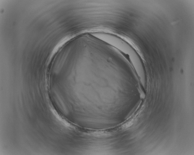 X0000061750998200512231521