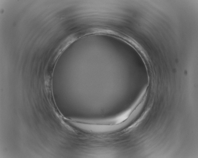 X0000061751001200512231521