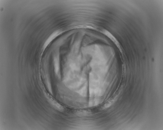 X0000061751002200512231521