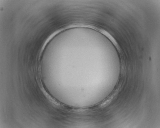 X0000061751004200512231521