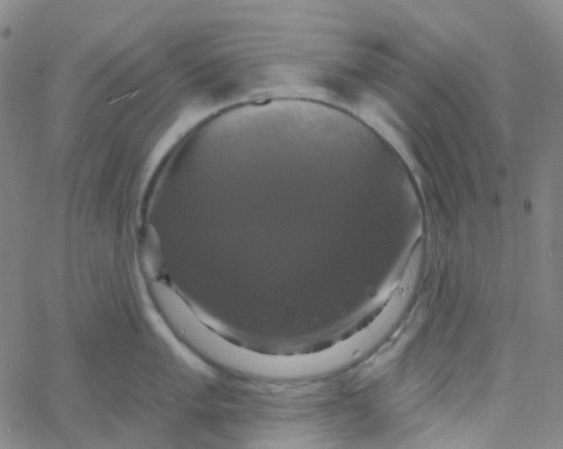 X0000061751005200512231521