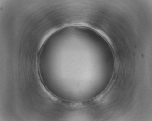 X0000061751006200512231521