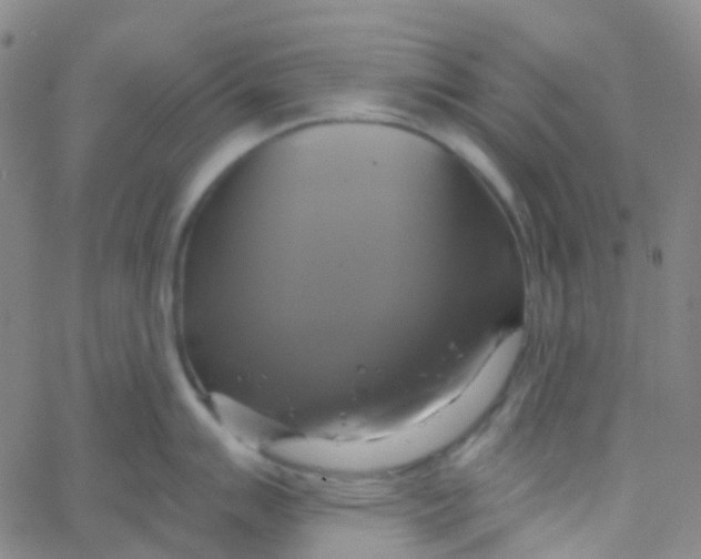 X0000061751007200512231521