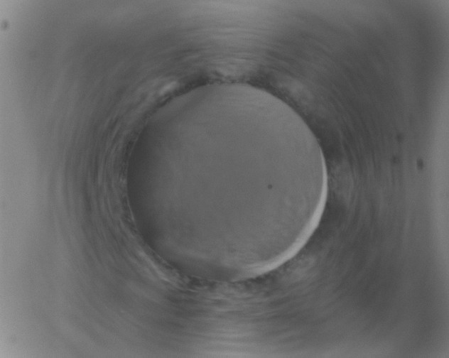 X0000061751009200512231520