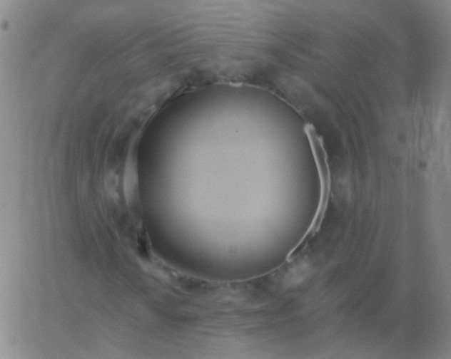 X0000061751010200512231520