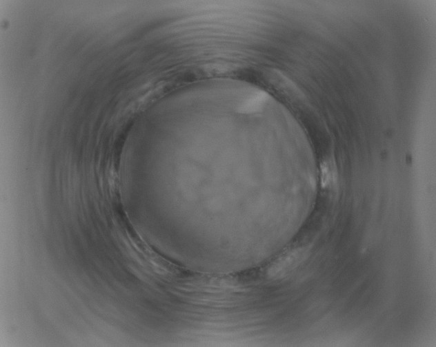 X0000061751011200512231520