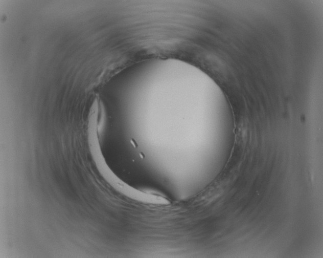 X0000061751012200512231520