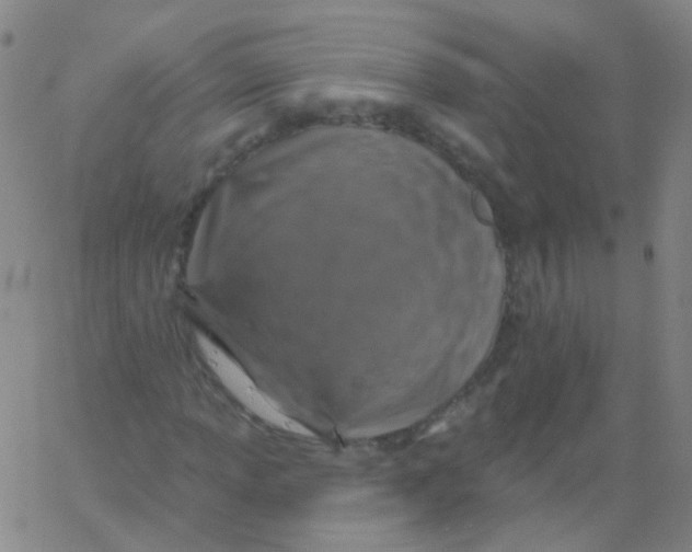 X0000061751013200512231520