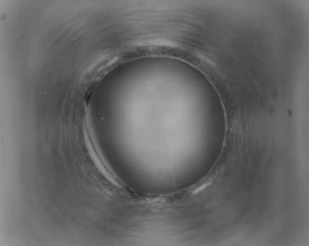 X0000061751014200512231520