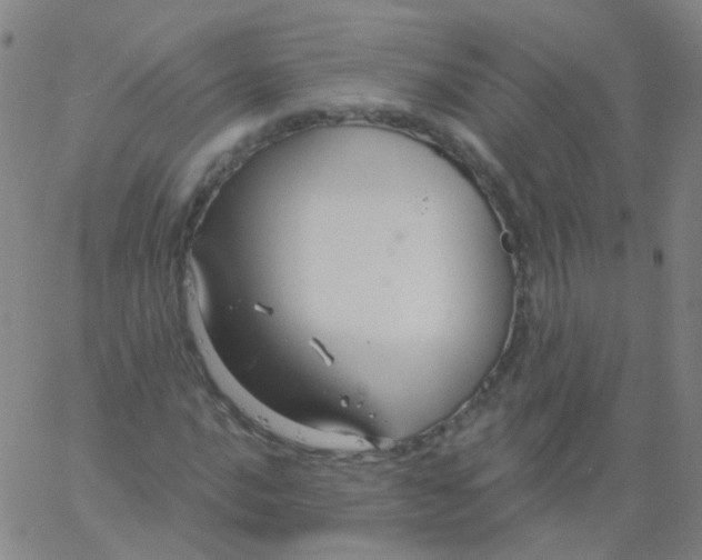 X0000061751016200512231520