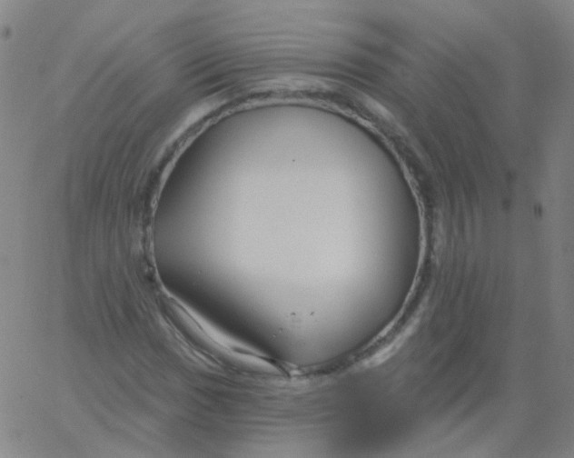 X0000061751017200512231520