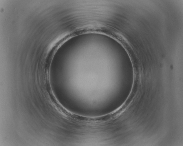 X0000061751018200512231520