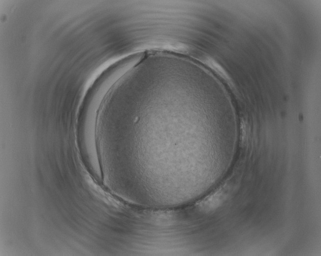 X0000061751020200512231520