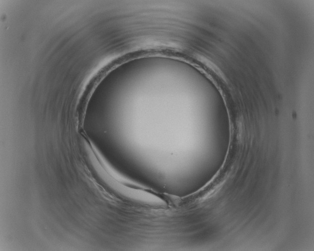 X0000061751021200512231520