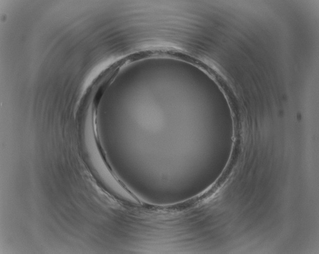 X0000061751022200512231520