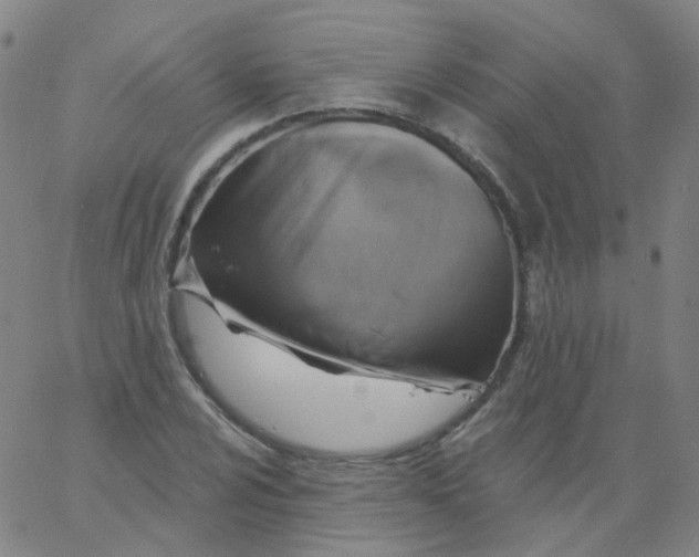 X0000061751024200512231520