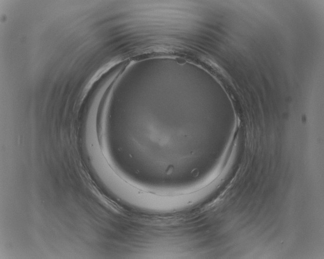 X0000061751026200512231520